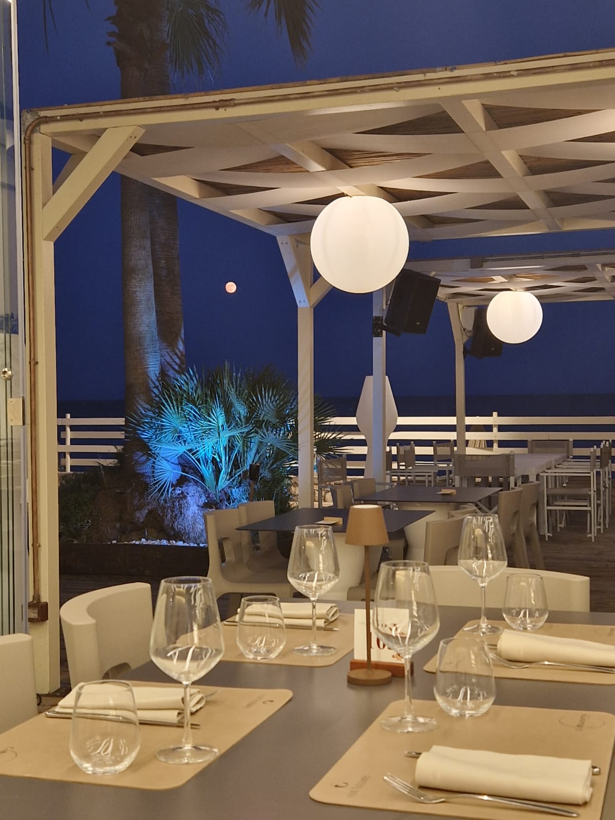 WhatsApp Image 2025-12-01 at 12.34.37